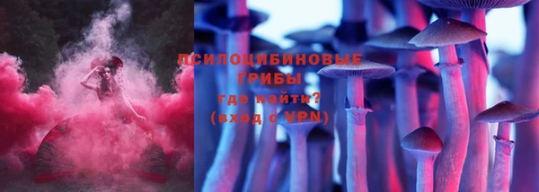 Альфа ПВП Кукмор