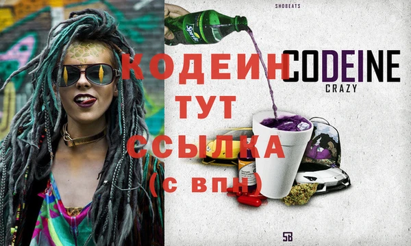молекула духа Коряжма