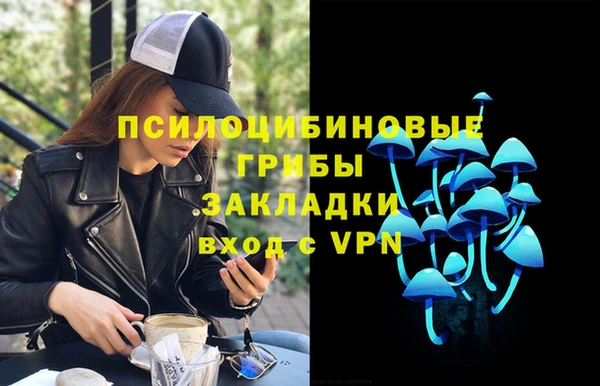дмт Лагань