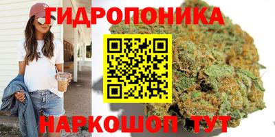 гашиш Канаш