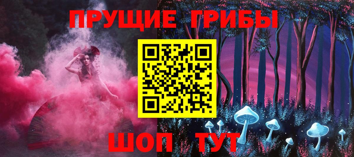 Михайловка  Галлюциногенные грибы мицелий  Вход с VPN  Псилоцибиновые грибы Psilocybe 