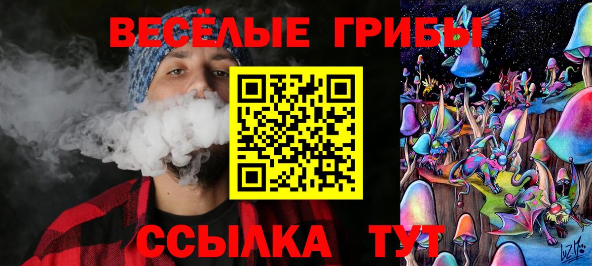 Псилоцибиновые грибы ЛСД Михайловка
